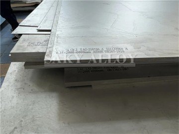 Gr17 Titanium Plate